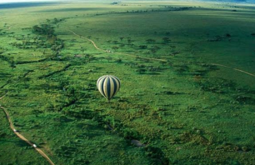Flying High in Serengeti National Park