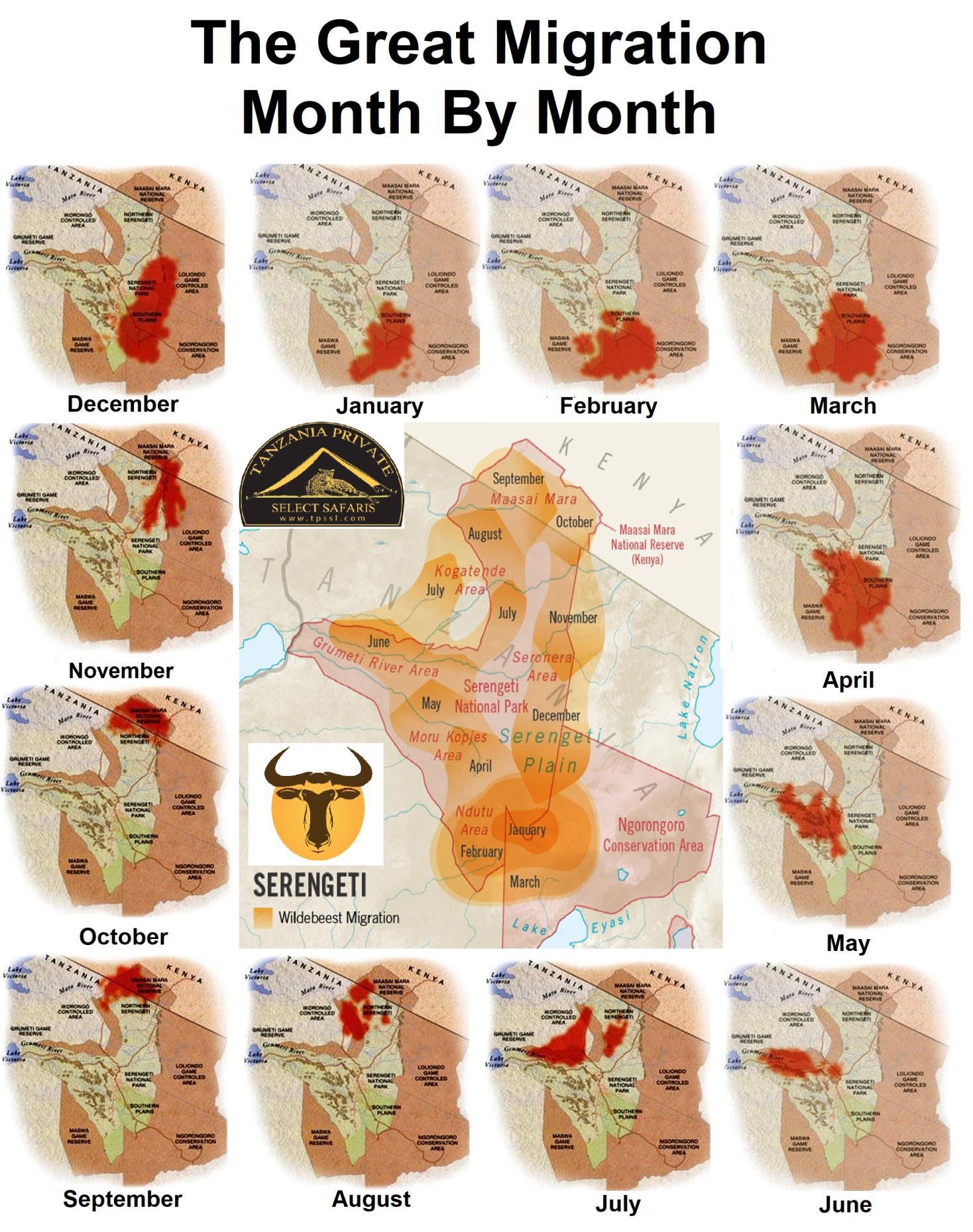 The Great Migration Map - Tanzania Groups 2 Join