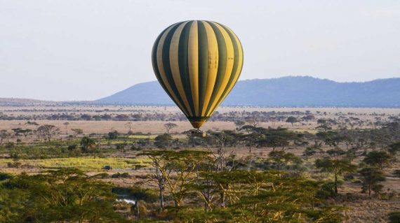 Serengeti Baloon 4