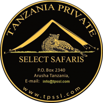The Meaning of our Logo. 
It’s very simple!!
Its means that we love camping and Leopard is our mascot on safari
